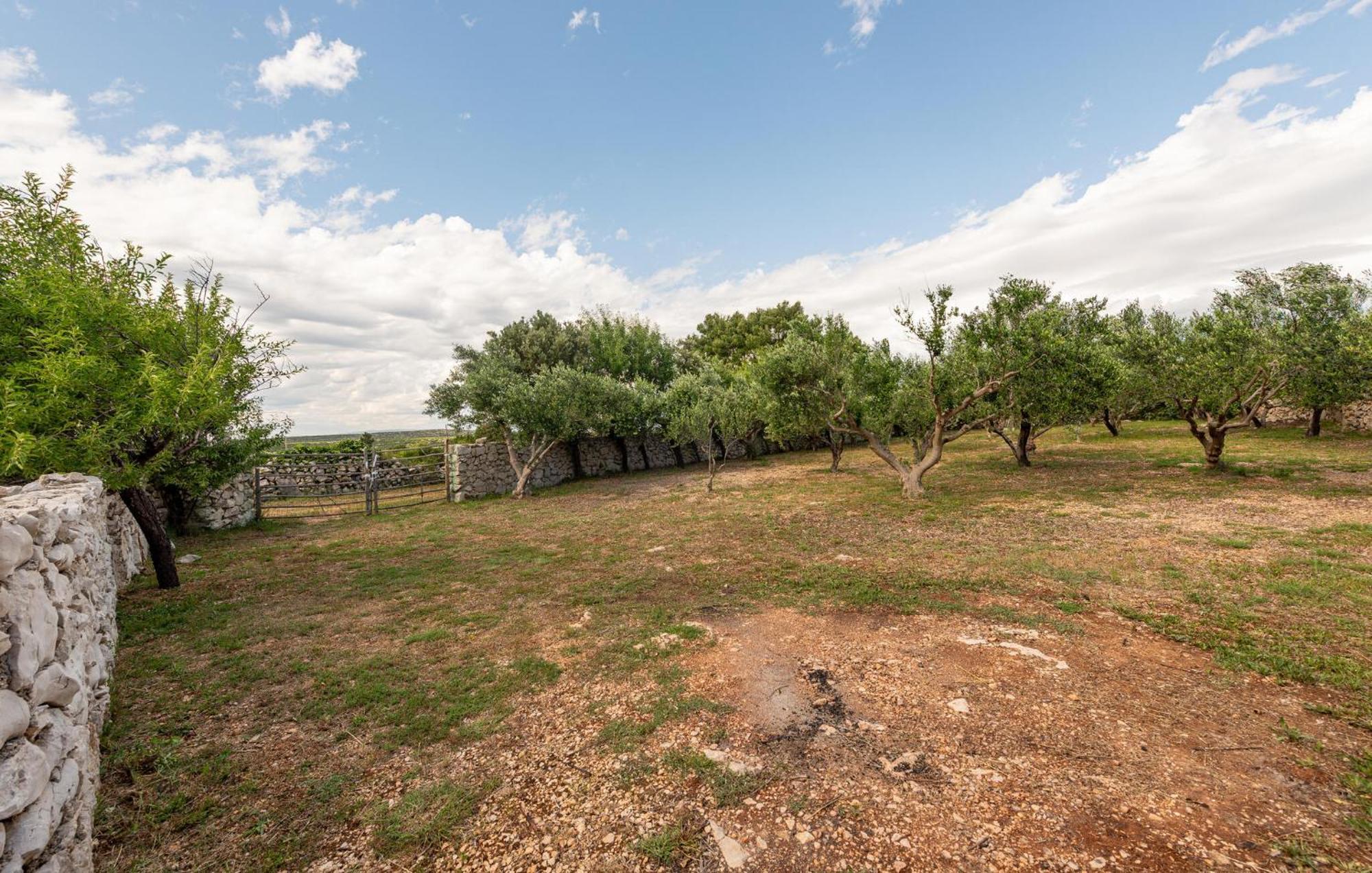 Beautiful Home In Novalja With Wifi Exterior foto